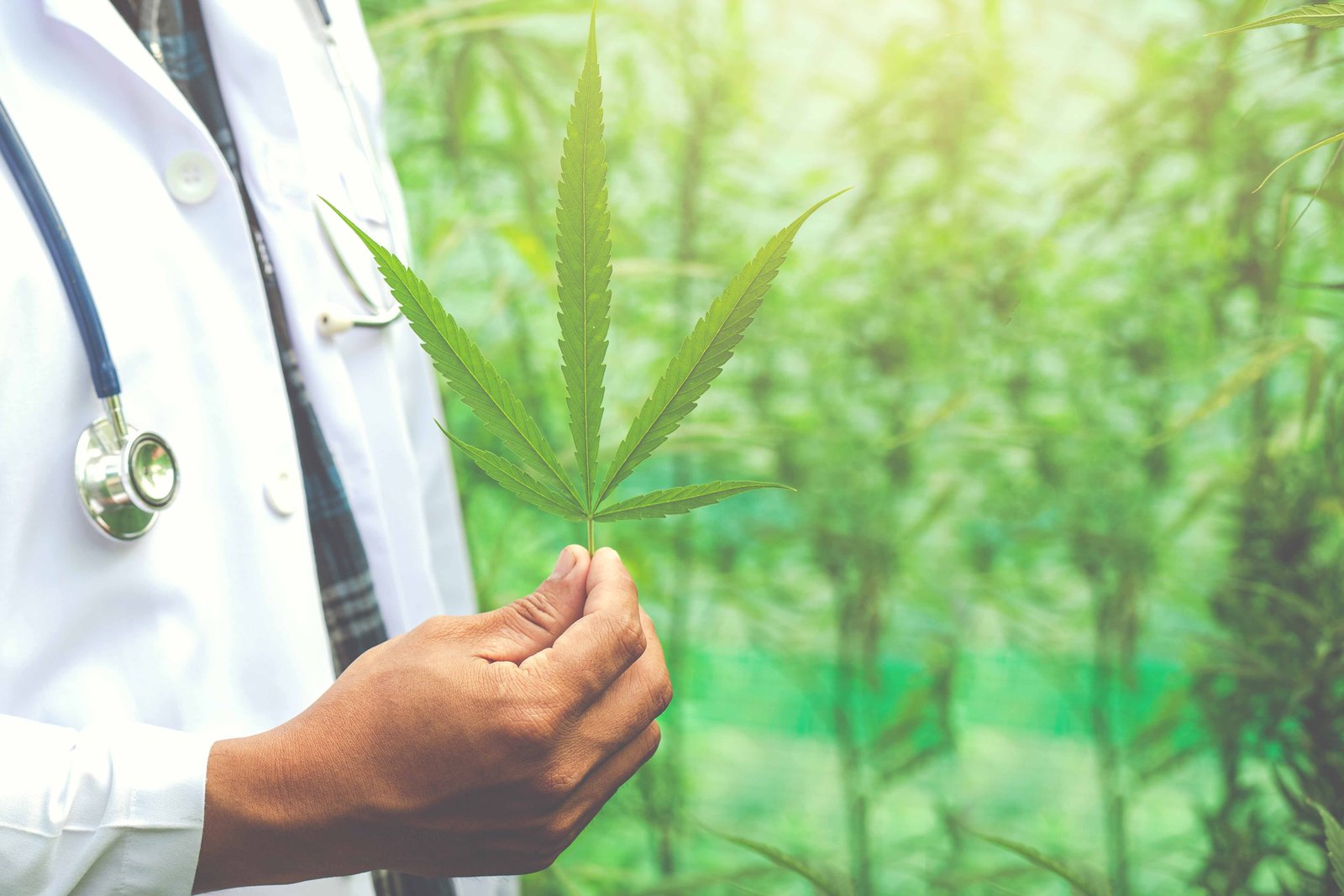 ¿Marihuana Medicinal?
